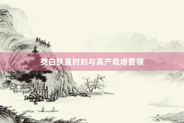 茭白扶直时刻与高产栽培要领