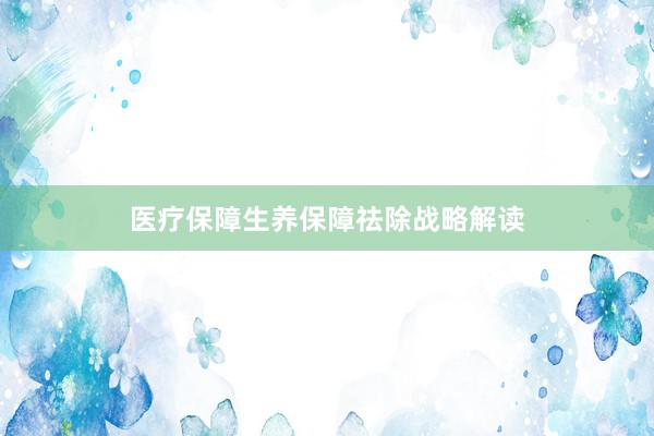 医疗保障生养保障祛除战略解读