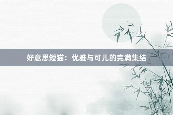 好意思短猫：优雅与可儿的完满集结